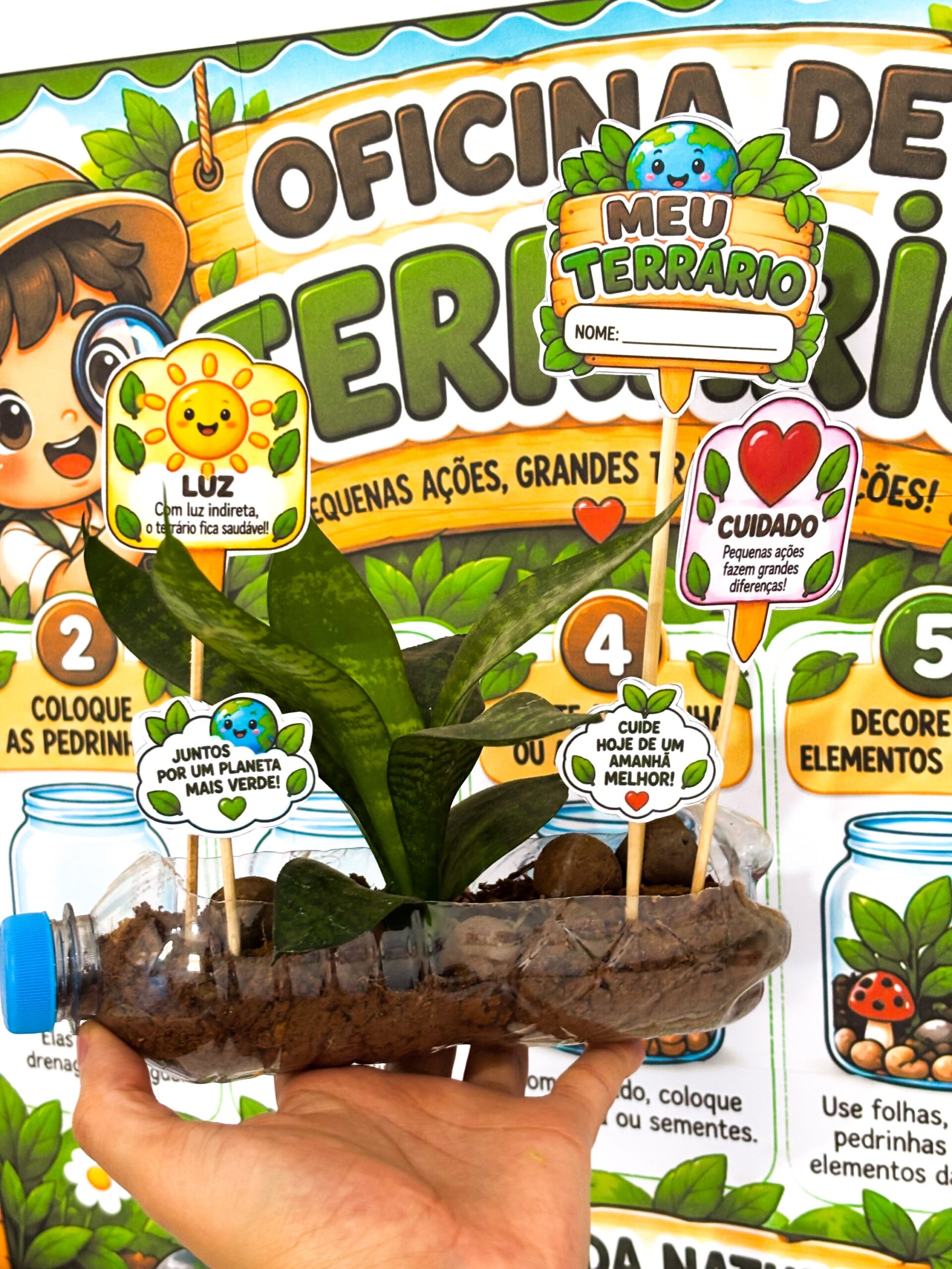 Kit Oficina de Terrário - Imagem 6